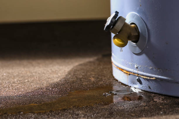  Grant Park, IL Water damage restoration Pros