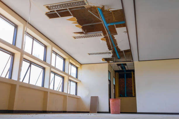 Best Flood restoration services  in Grant Park, IL