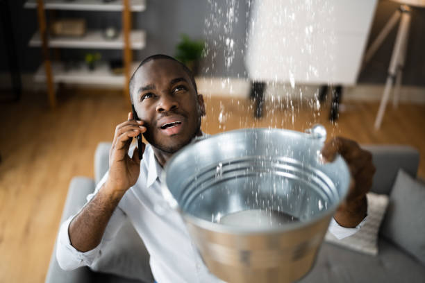 Best Ceiling water damage repair  in Grant Park, IL