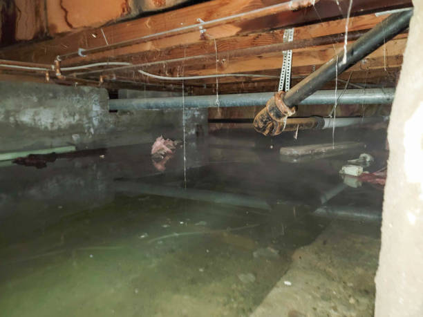 Best Ceiling water damage repair  in Grant Park, IL