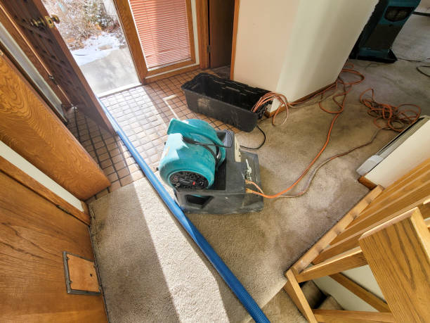 Best Water damage restoration near me  in Grant Park, IL