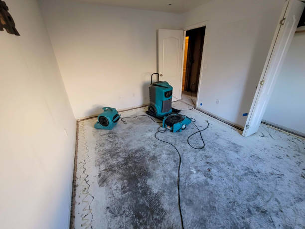 Best Carpet water damage restoration  in Grant Park, IL