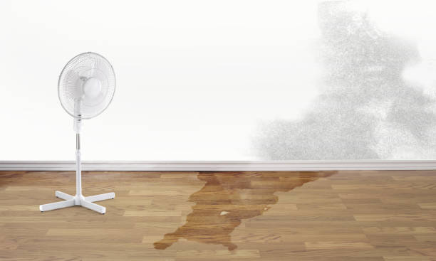 Best Commercial water damage restoration  in Grant Park, IL