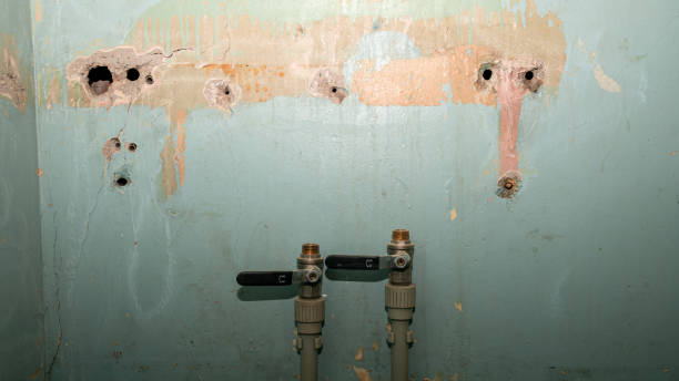 Best Sewage cleanup and water damage restoration  in Grant Park, IL