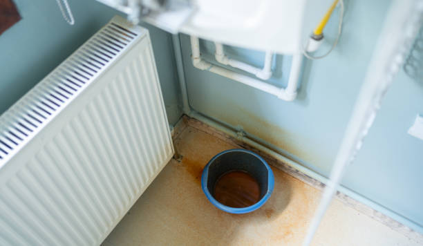 Best 24/7 water damage repair  in Grant Park, IL