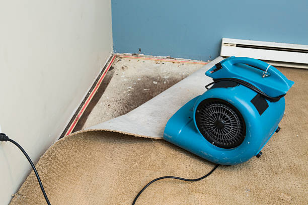 Best Water damage restoration experts  in Grant Park, IL